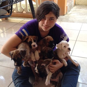 Nicole, my house guest this week with all six puppies. Lots of love, licks and puppy breath.